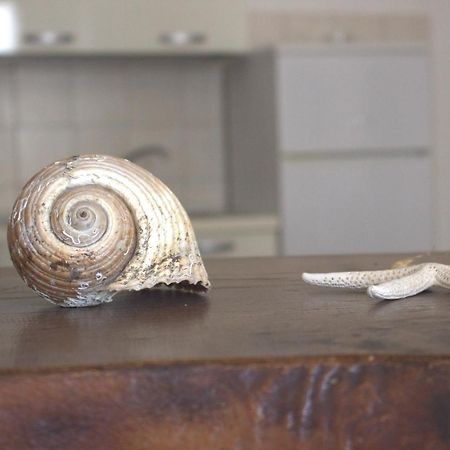 Apartamento Lido Dei Miracoli Lido Conchiglia Exterior foto